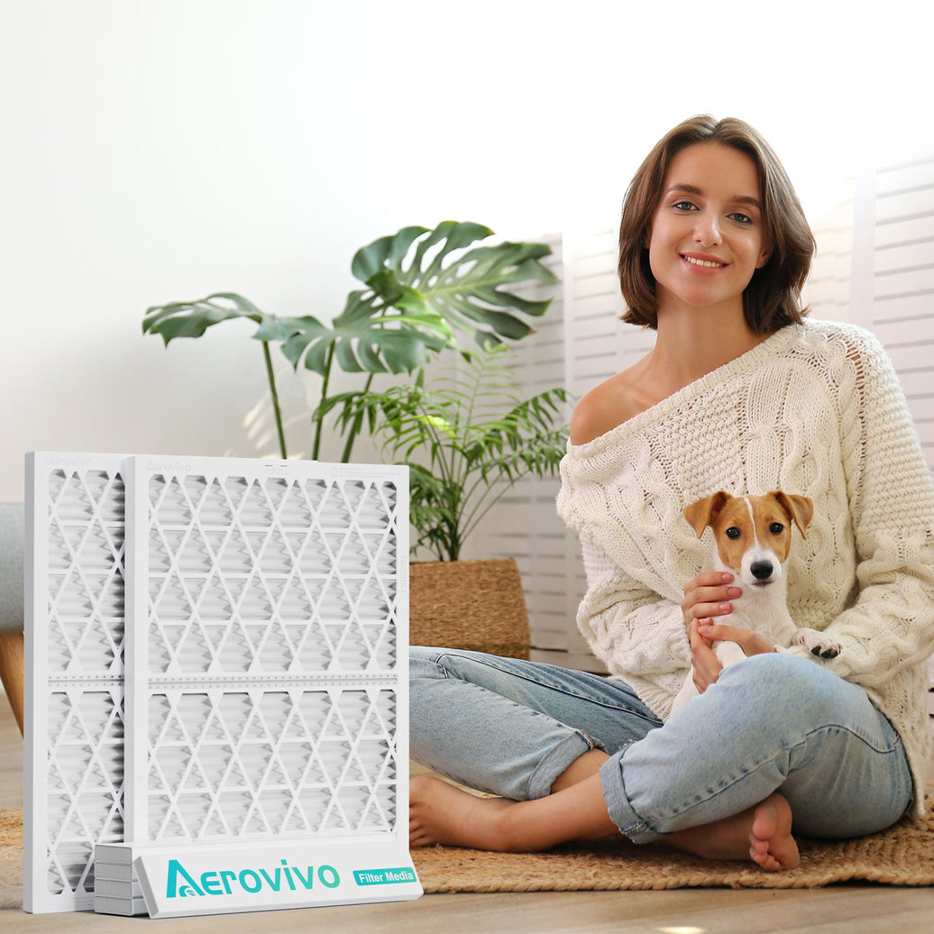 Want a fresher home? These five home upgrades can help you improve indoor air quality