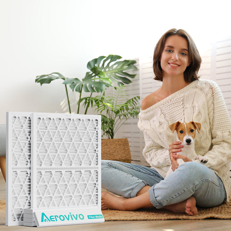 Want a fresher home? These five home upgrades can help you improve indoor air quality